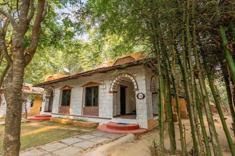Jungle King Resort