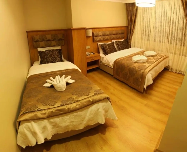 Deluxe Family room
