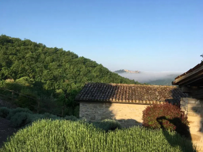 Campo della Fiora