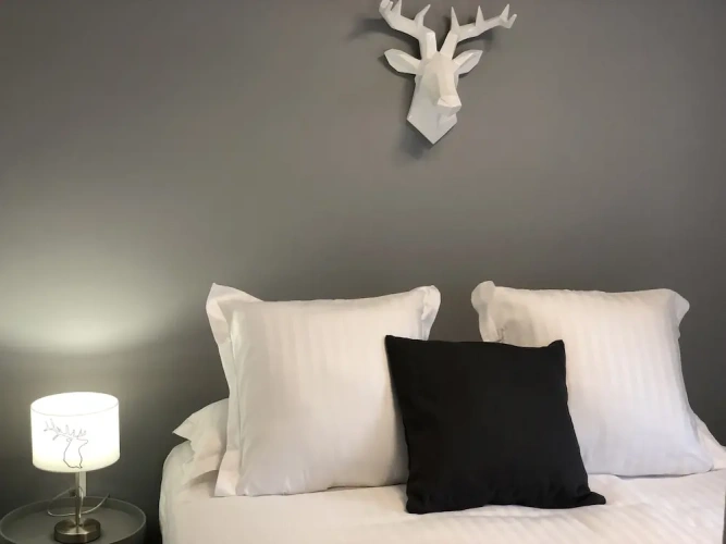 Economy room