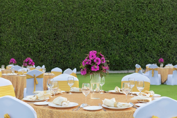 DoubleTree by Hilton Agra photo 17