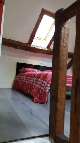Duplex Notre Dame
