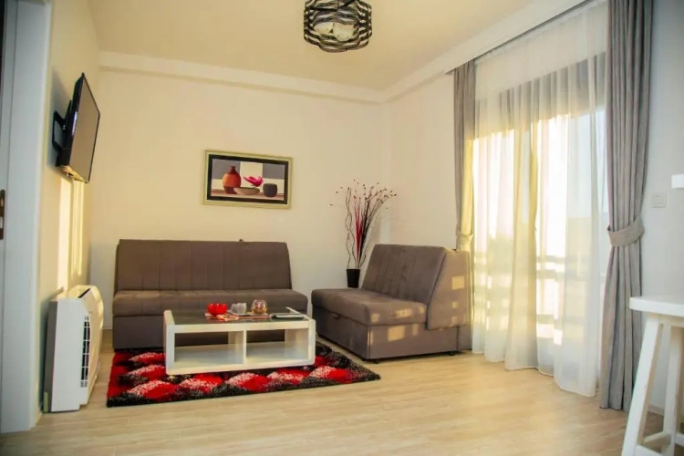 1 Bedroom Suite
