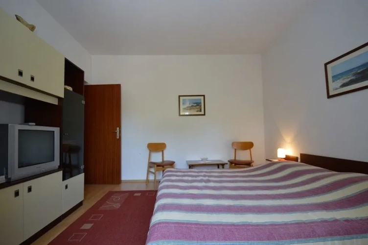 1 Bedroom Standard Apartment