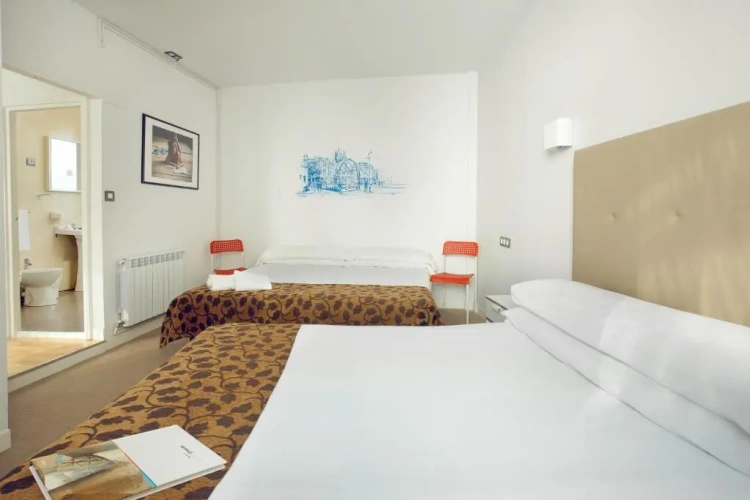 Deluxe Single room