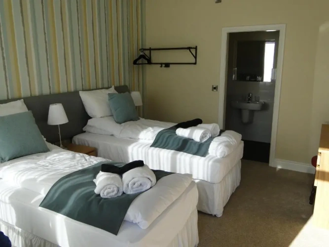 Deluxe Twin room