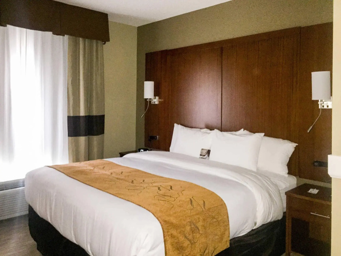 Comfort Suites University