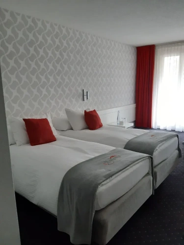 Standard Twin room with balcony and with view