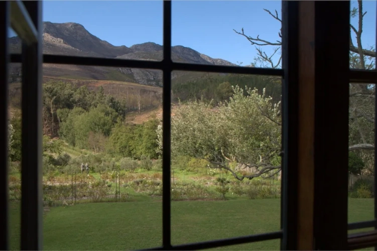 Suite with balcony and with mountain view