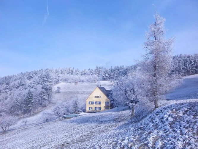Twin Cottage