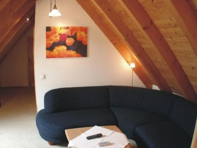 Comfort Suite