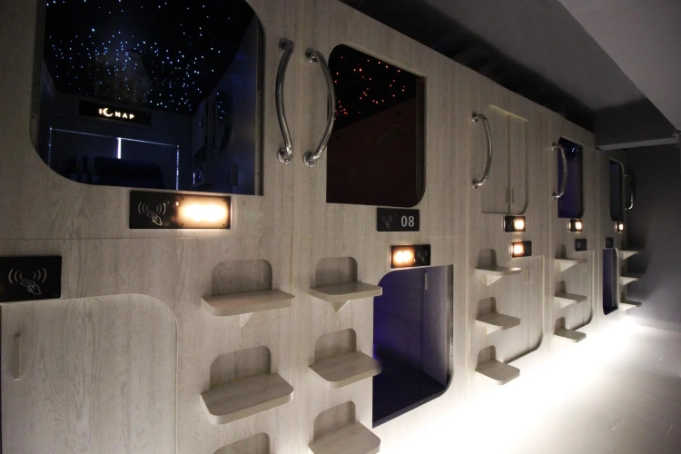 Business Capsule
