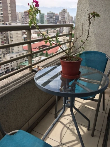 1 Bedroom Comfort Apartment