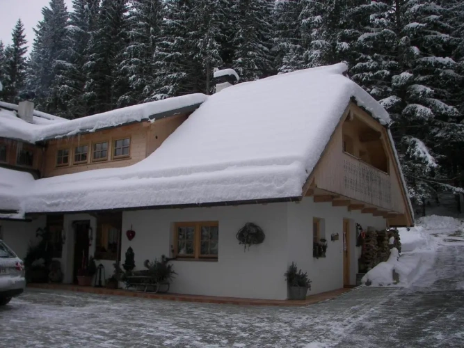 1 Bedroom Comfort Apartment