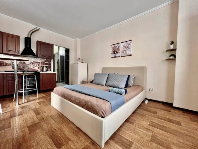 Фотография номера квартиры Риконе на улице 50 лет ВЛКСМ 15 корпус 1