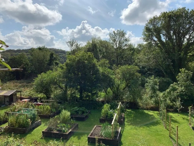 Superior Twin room with garden view