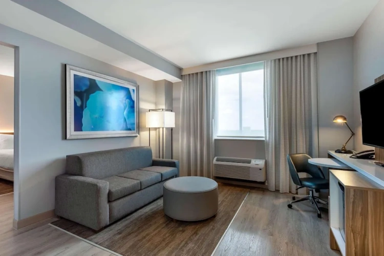 1 Bedroom Double Suite with city view