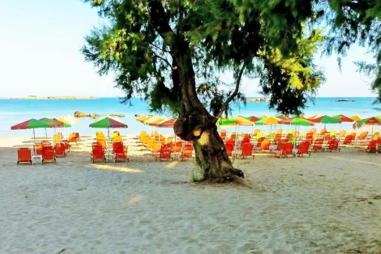 Mare Civitas Apartments
