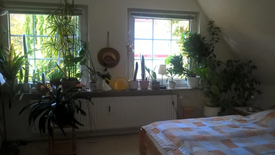 Gemütl. Ferienwohnung und Privatzimmer