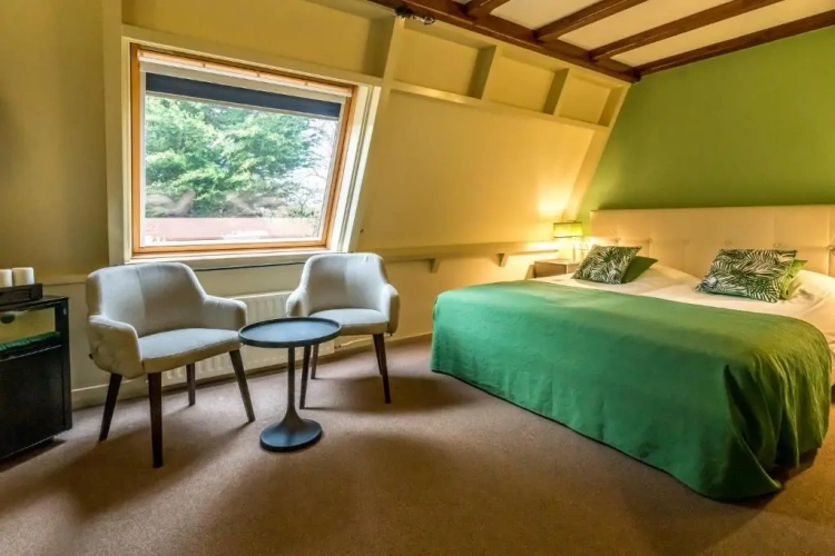 Standard room with balcony and with view