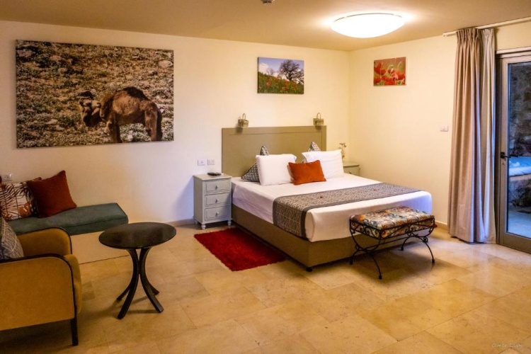 Deluxe Double room with balcony and with view