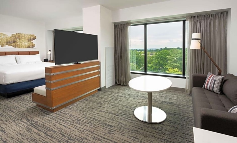Presidential Single room