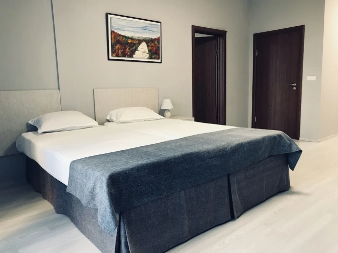 1 Bedroom Classic Apartment