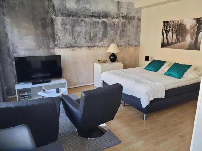 1 Bedroom Apartment