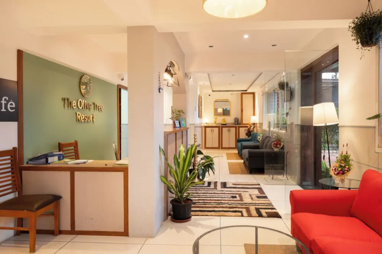 Olive Tree Resort