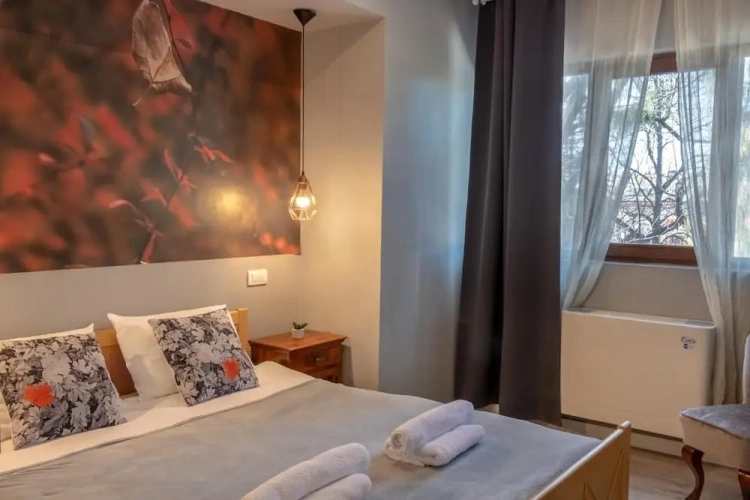 1 Bedroom Superior Apartment with city view