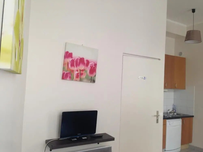 Apartment Poisson 1