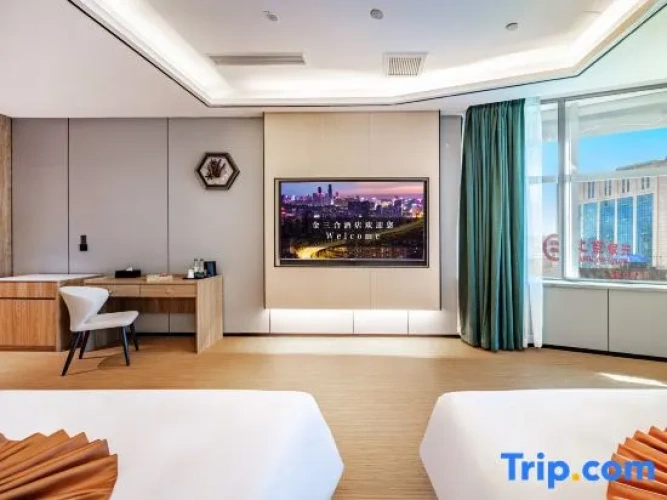 Standard Twin room with city view