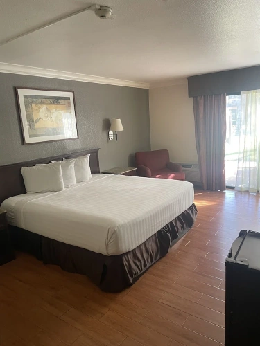 1 Bedroom Deluxe Single room
