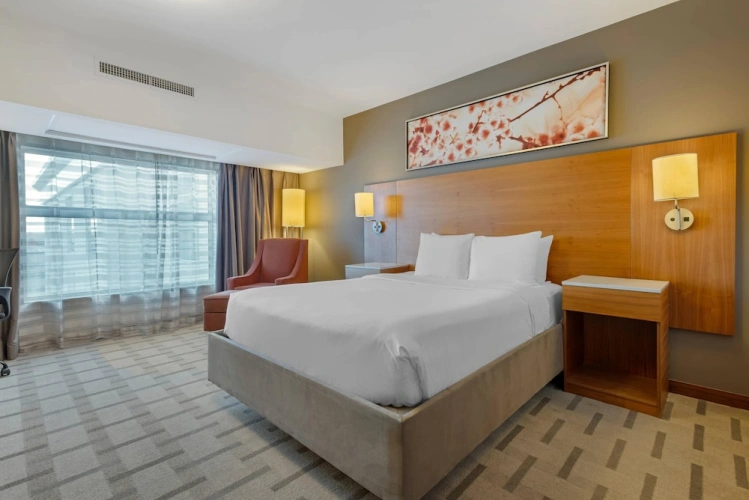 Business Double Suite with Airport view