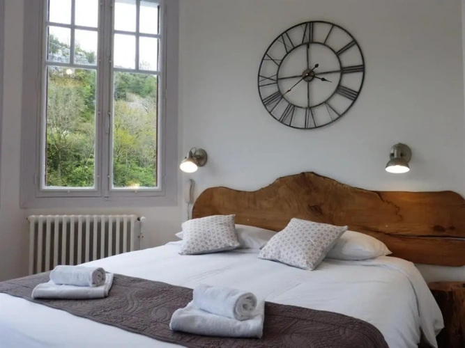 Superior Double room with river view
