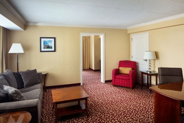 1 Bedroom Suite