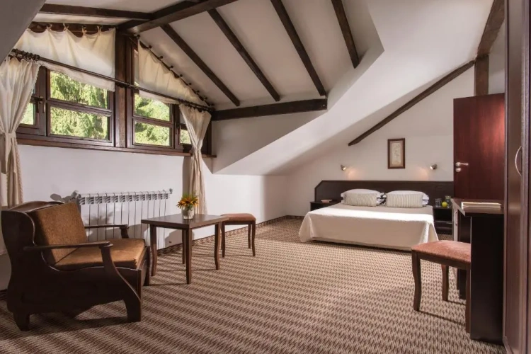 Standard Double room with balcony and with mountain view