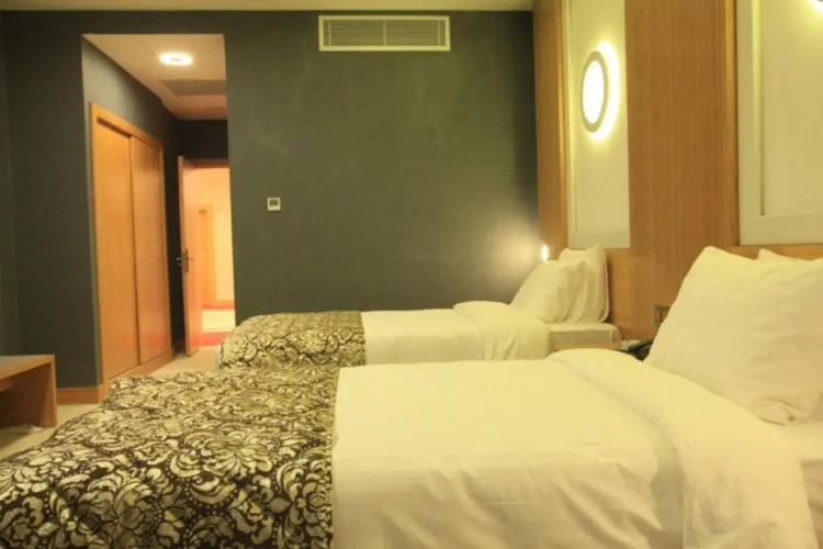 Deluxe Double room with city view