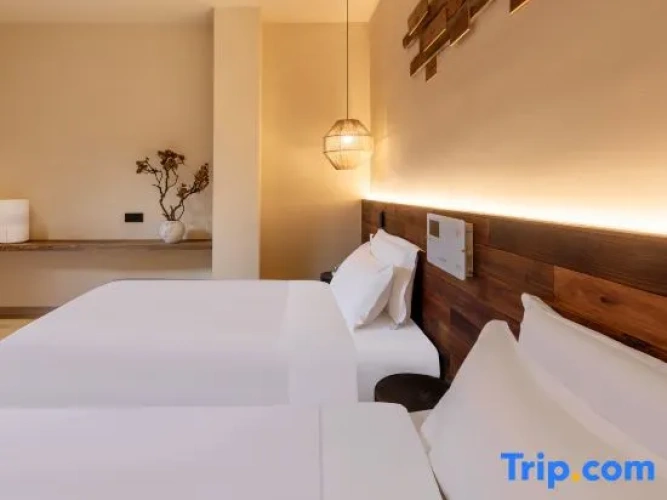 Standard Twin room with mountain view