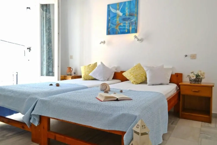 Standard Twin room with balcony and with view
