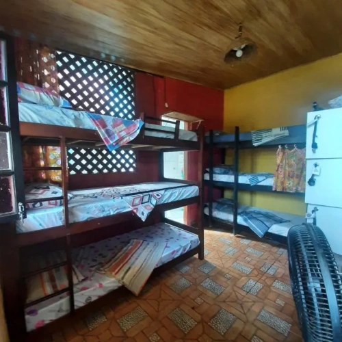 Bed in Dorm (female dorm)