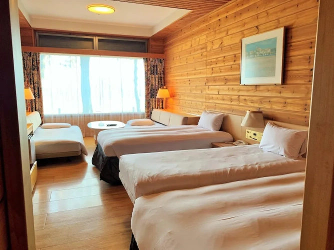 Standard Twin Family room