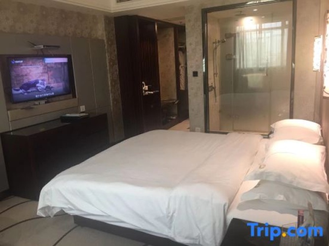 Executive Twin Suite