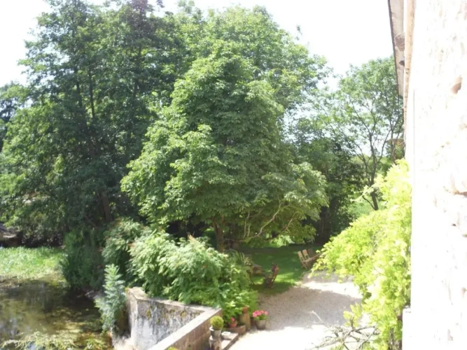Standard Double room with view