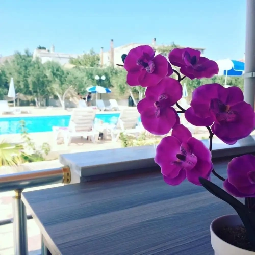 Standard room with balcony and with view