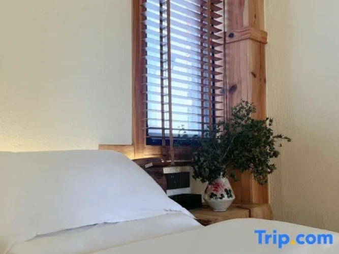 Luxury Double room