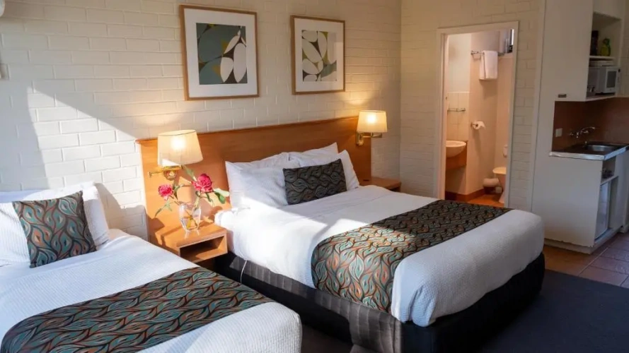 Deluxe Twin room with park view