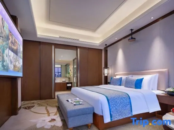 1 Bedroom Suite