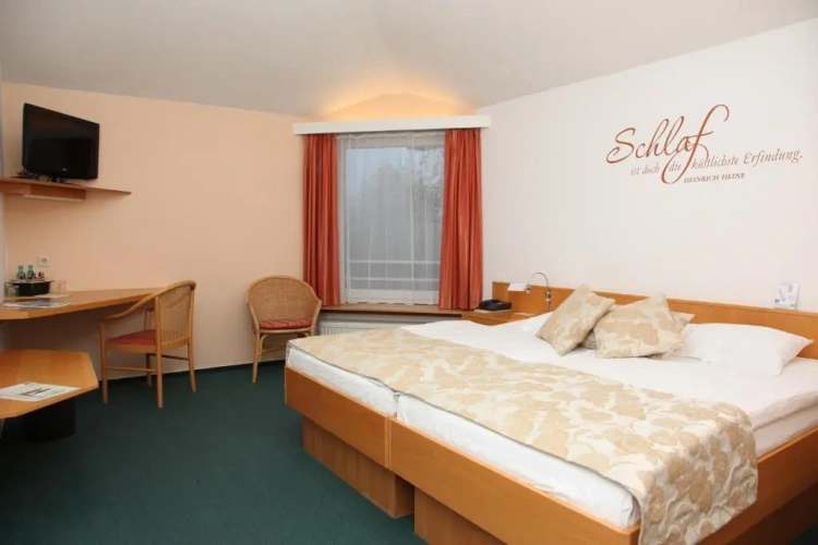 Comfort Double room with view