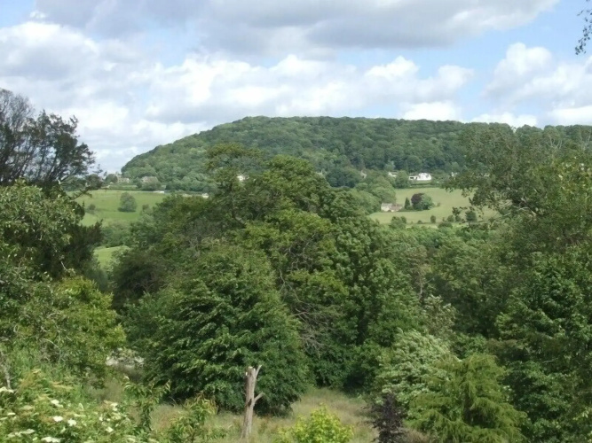 Tibbiwell Lodge - B&B
